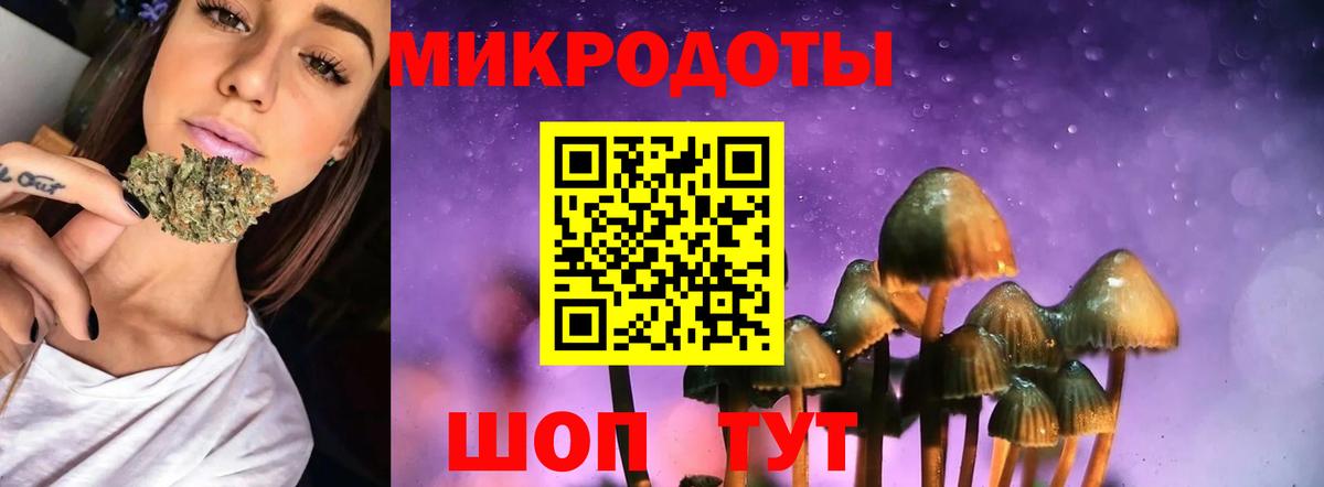Малгобек  Псилоцибиновые грибы мухоморы  Вход с VPN 